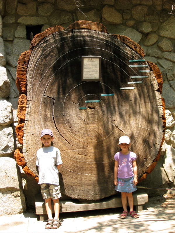 Kids and Sequoia