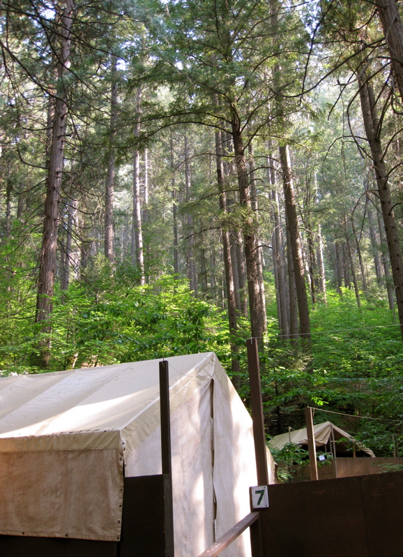 Our tent cabin, amidst the woods