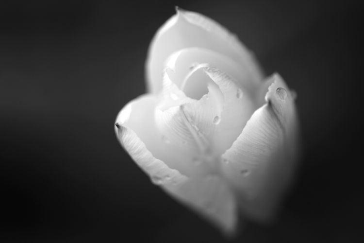 o4/13/867513/1/133966249.rfxJOYsV.IMG_4341.JPG