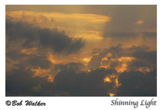 Shinning Light
