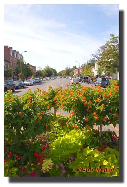 More Beautiful Plantings Throughout The Village