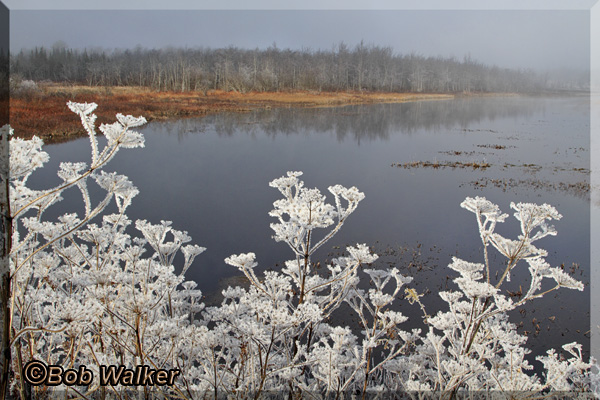 Very Cold And Frosty Morning