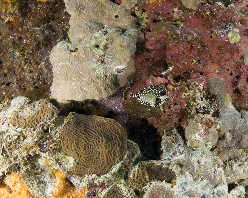 DSC_0202.jpg