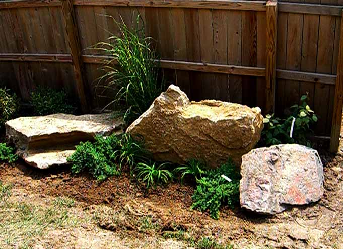 Backyard: Three rocks