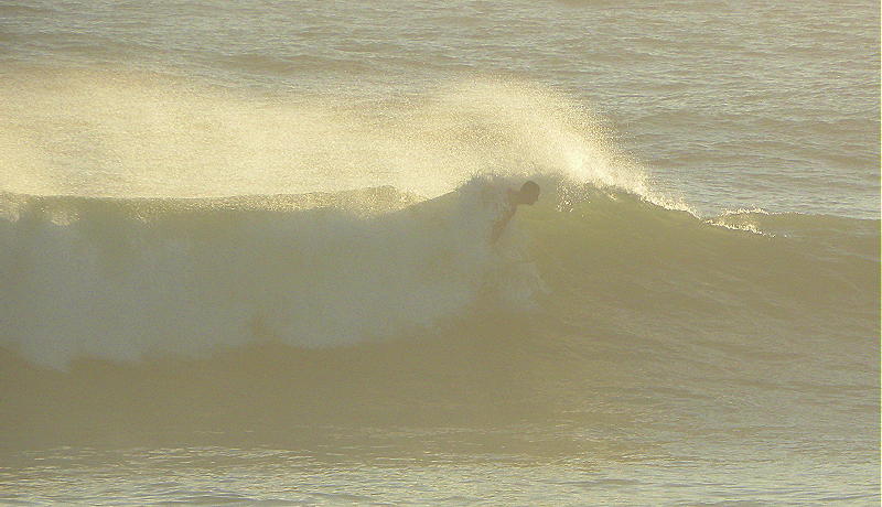 DSCN4926 2.JPG