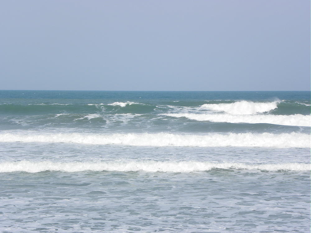 DSCN9369 2.JPG