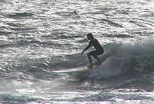 P4300041 2.JPG