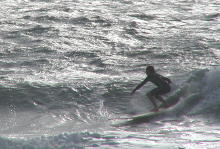 P4300042 2.JPG