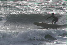 P4300043 2.JPG