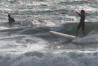 P4300044 2.JPG