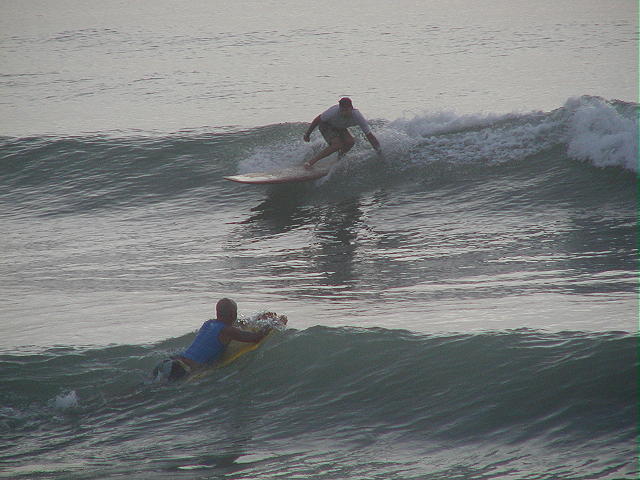 P7300051 2.JPG