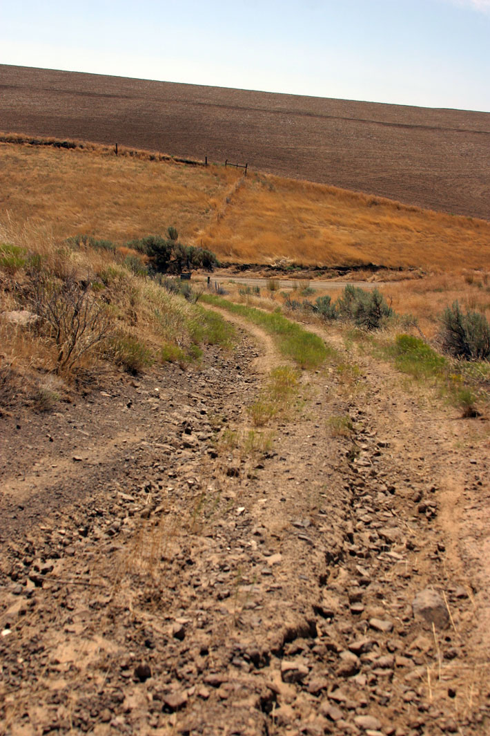  McDonald Ford Trail