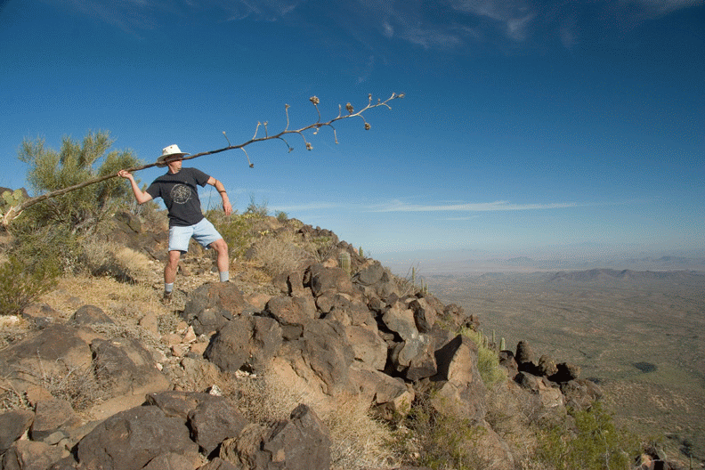 javelin sequence.gif
