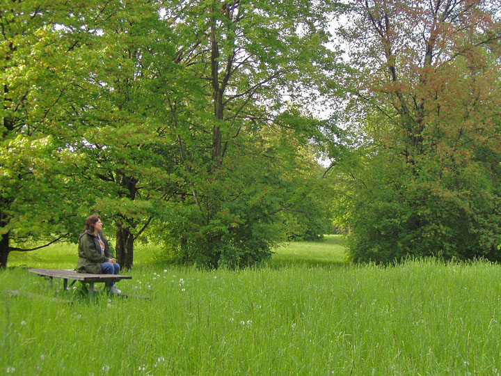 Drute out sitting in her field