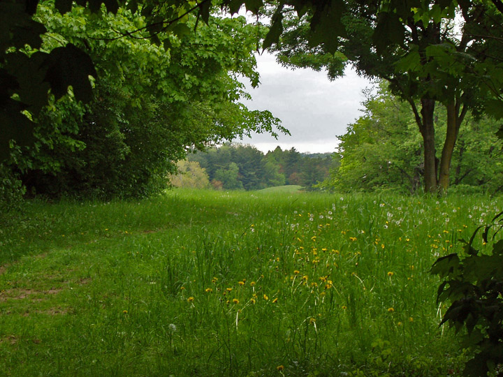 The place is a protected watershed now.  All that rainwater apparently needs to be protected.