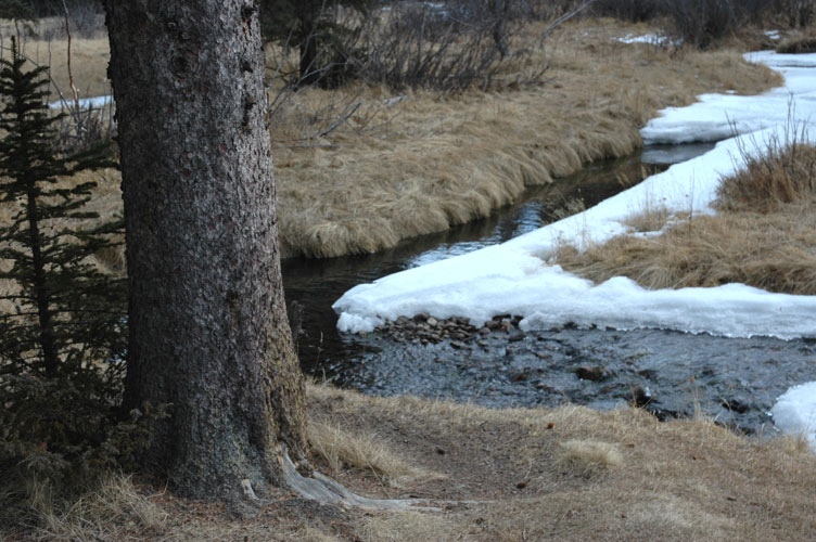 Cold Creek