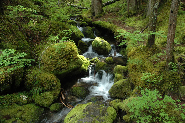 Little Lush Creek