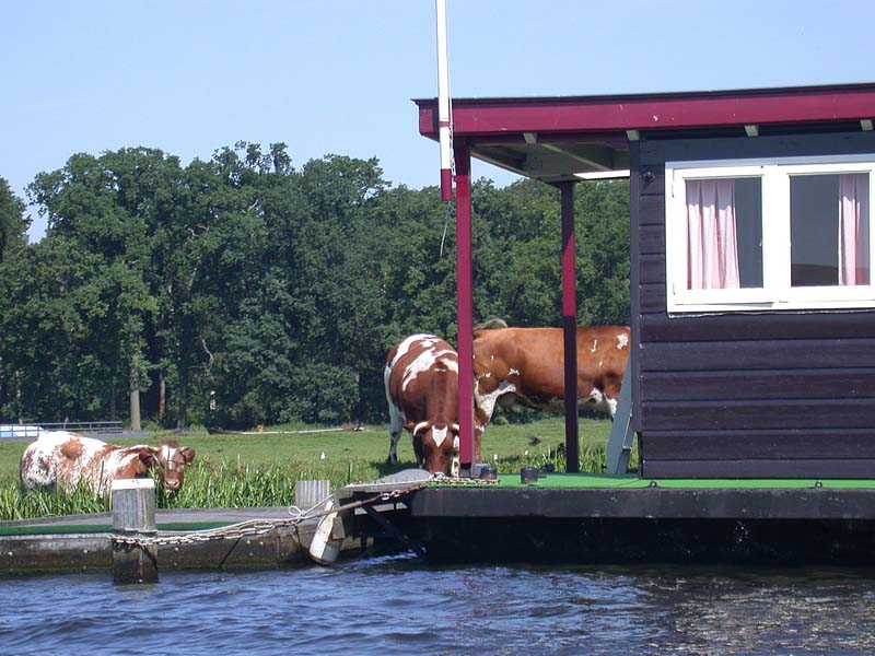 Langs de Leede