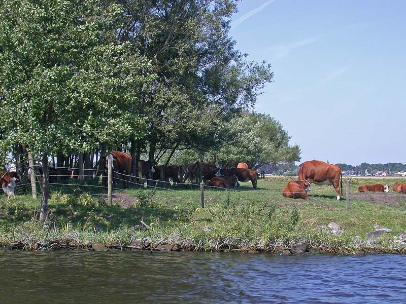 Gezicht op Warmond
