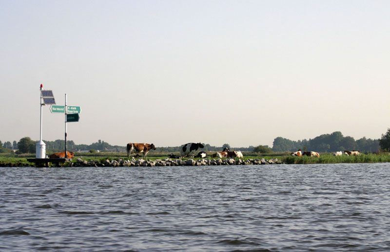 Kagerplassen
