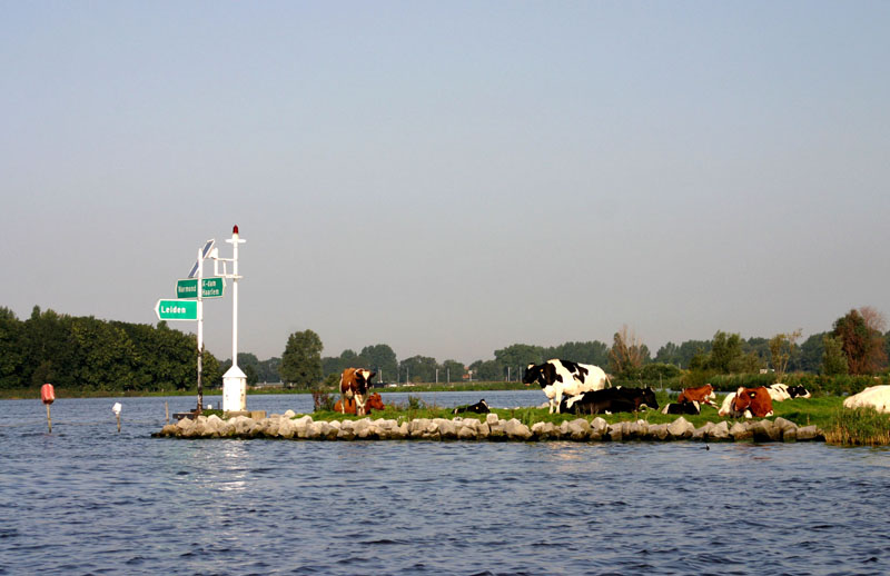 Kagerplassen