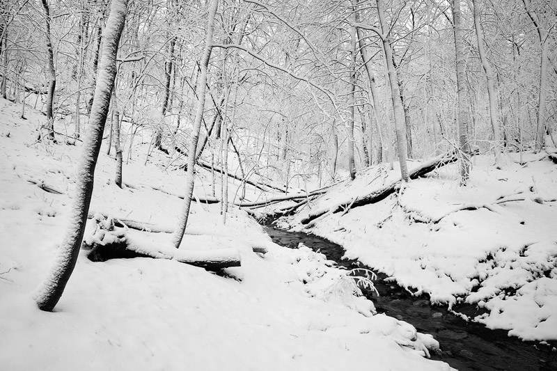 The creek through the woods