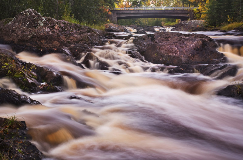 Autumn falls