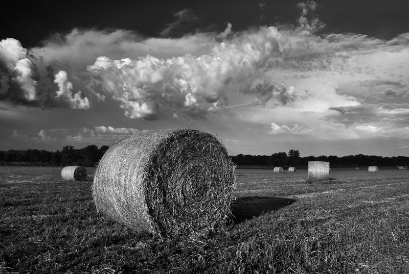 Hay bales