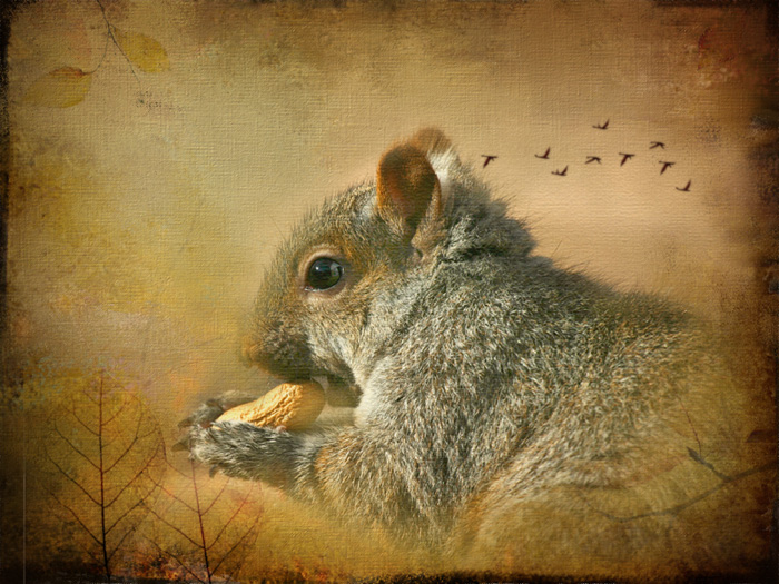 Prelude to Winter