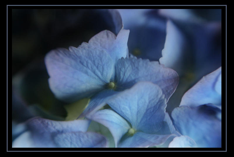  Blues in the Dark