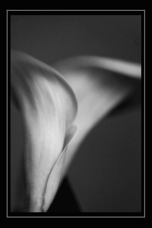 Alluring