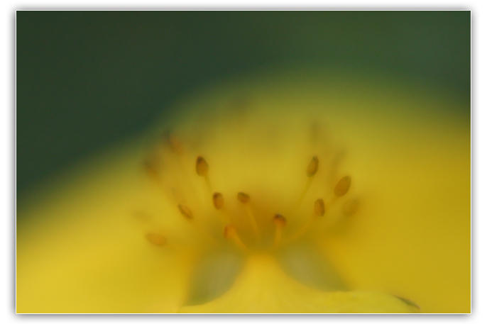 Lemony