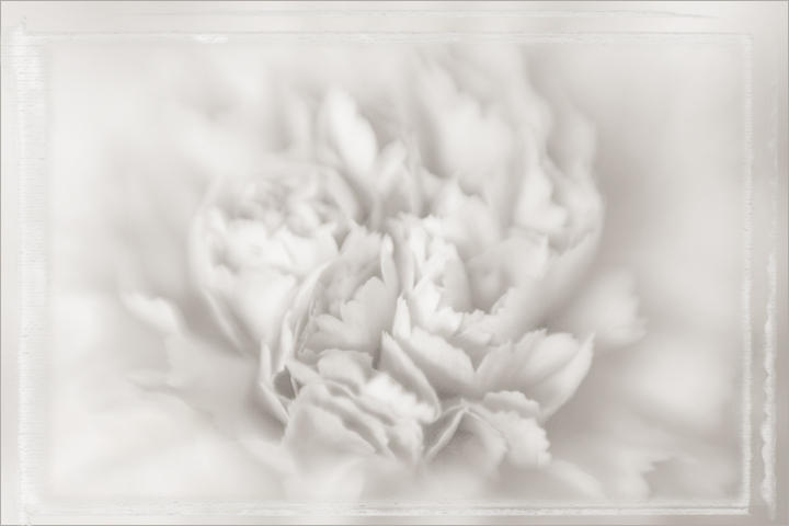 Tenderness