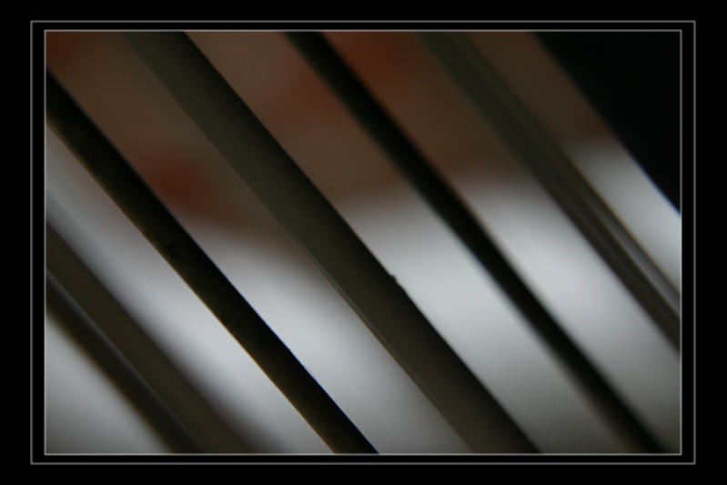 Black & White in Colour #2
