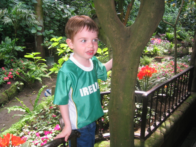 100_0042.JPG