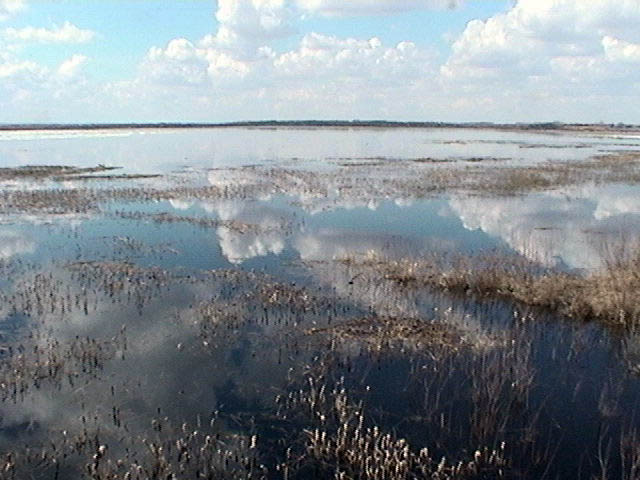 Clouds Reflected in Big Lake