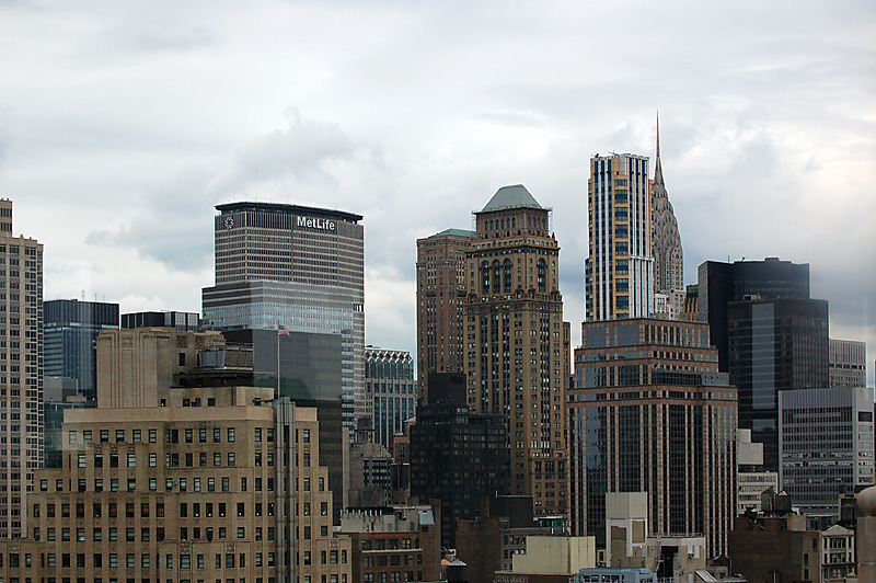 Concrete Jungle