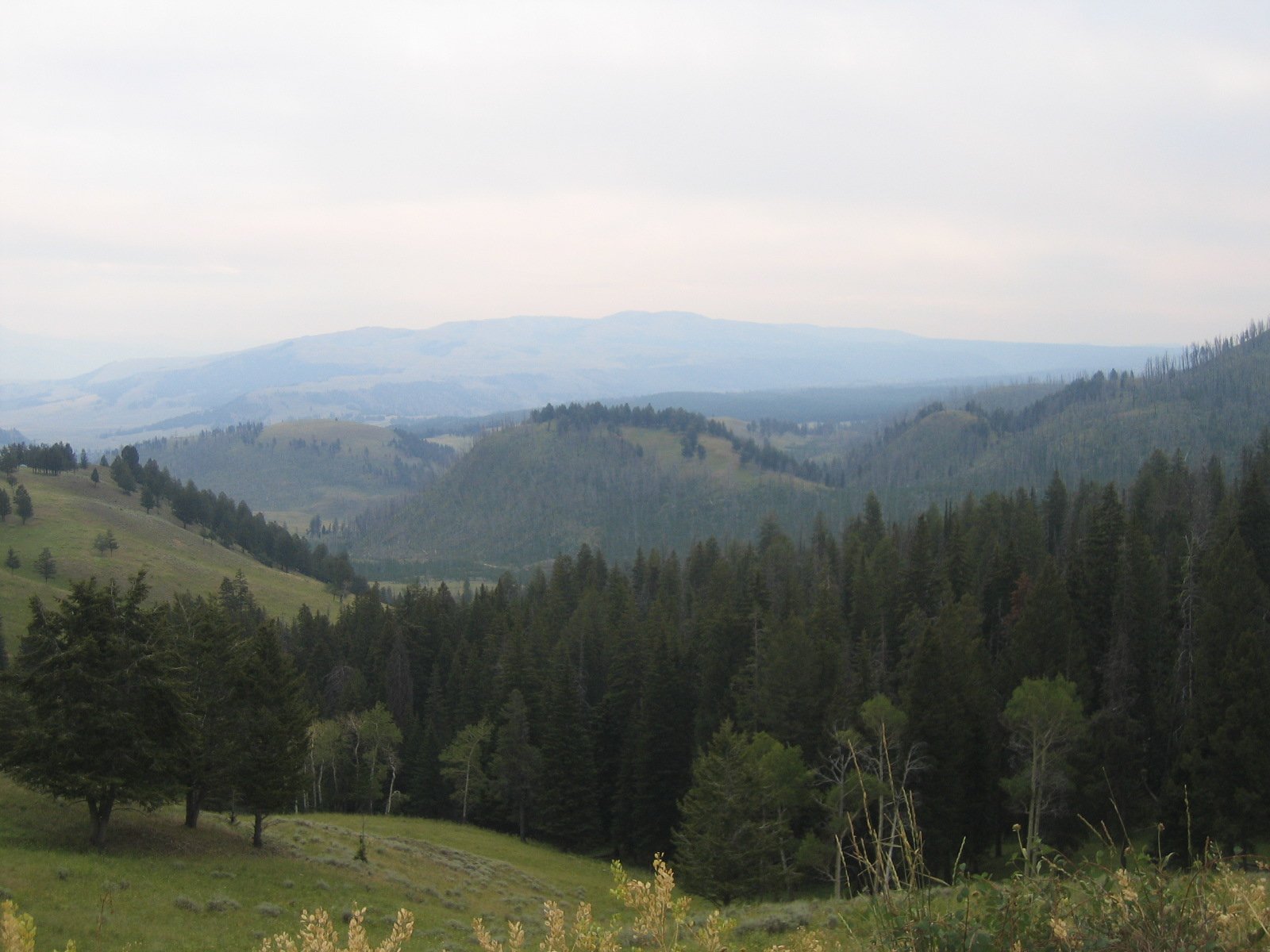 Blacktail Plateau Drive 4