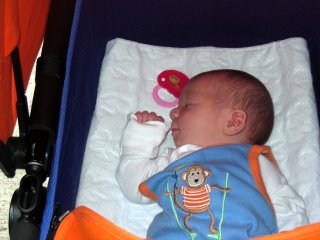 Monkey Outfit