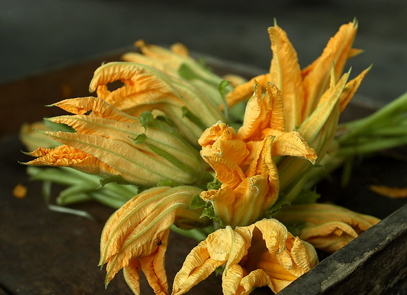 Squash blossoms in the market.