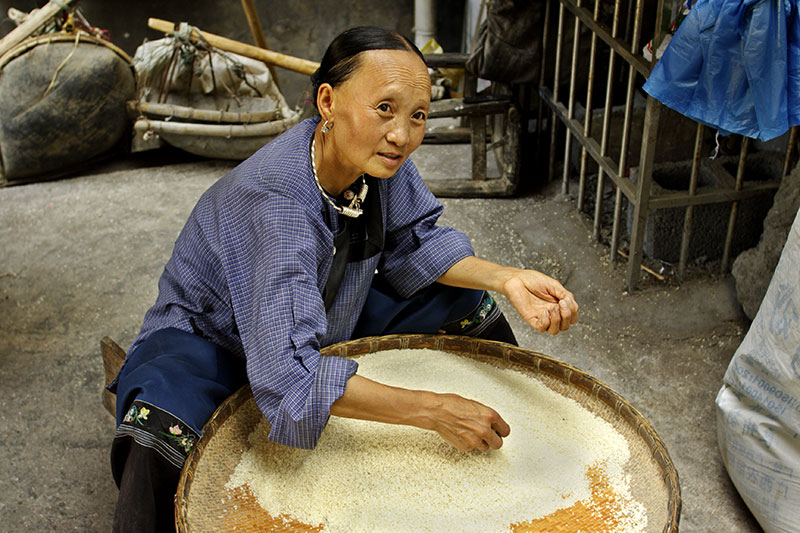 Hmong elder cleaning rice she has grown and sells.