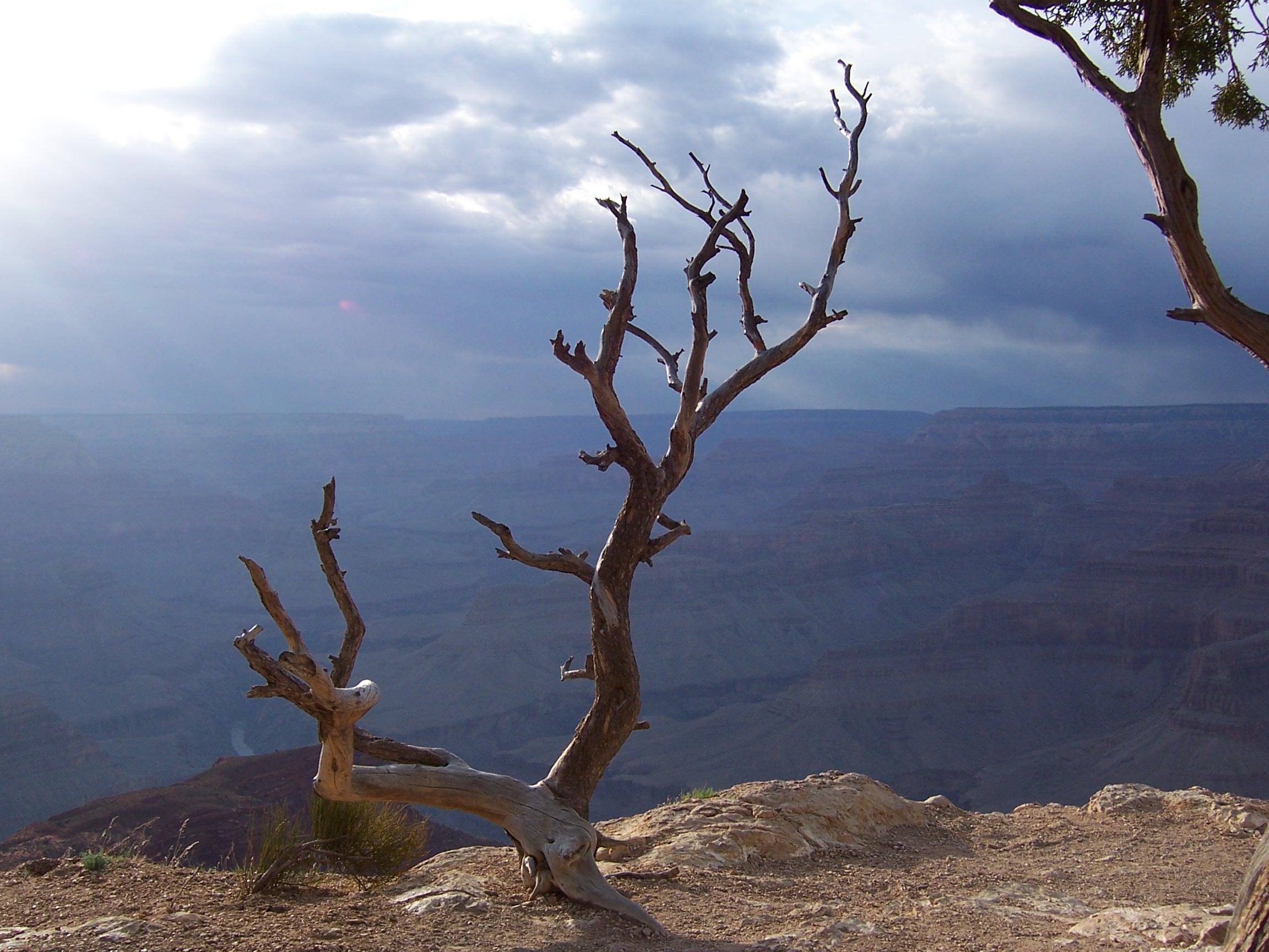 cs grand canyon 096.jpg