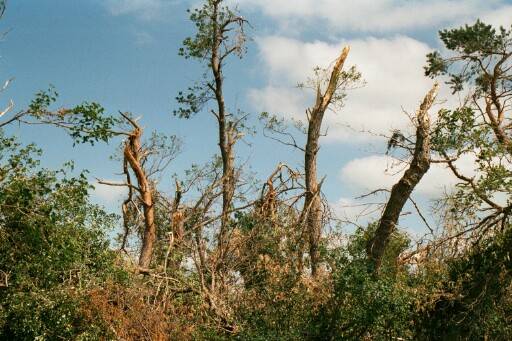 Storm Chasing 2003