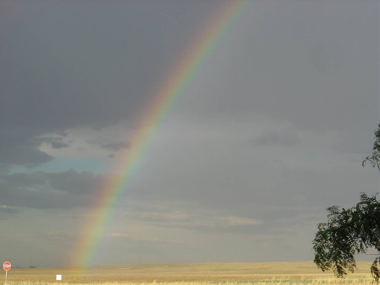 Storm Chasing 2006