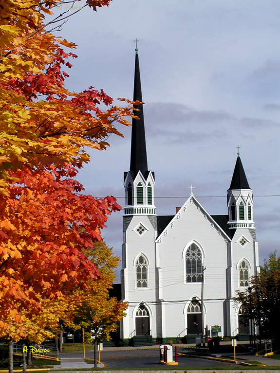 Sacred Heart Church - Sydney