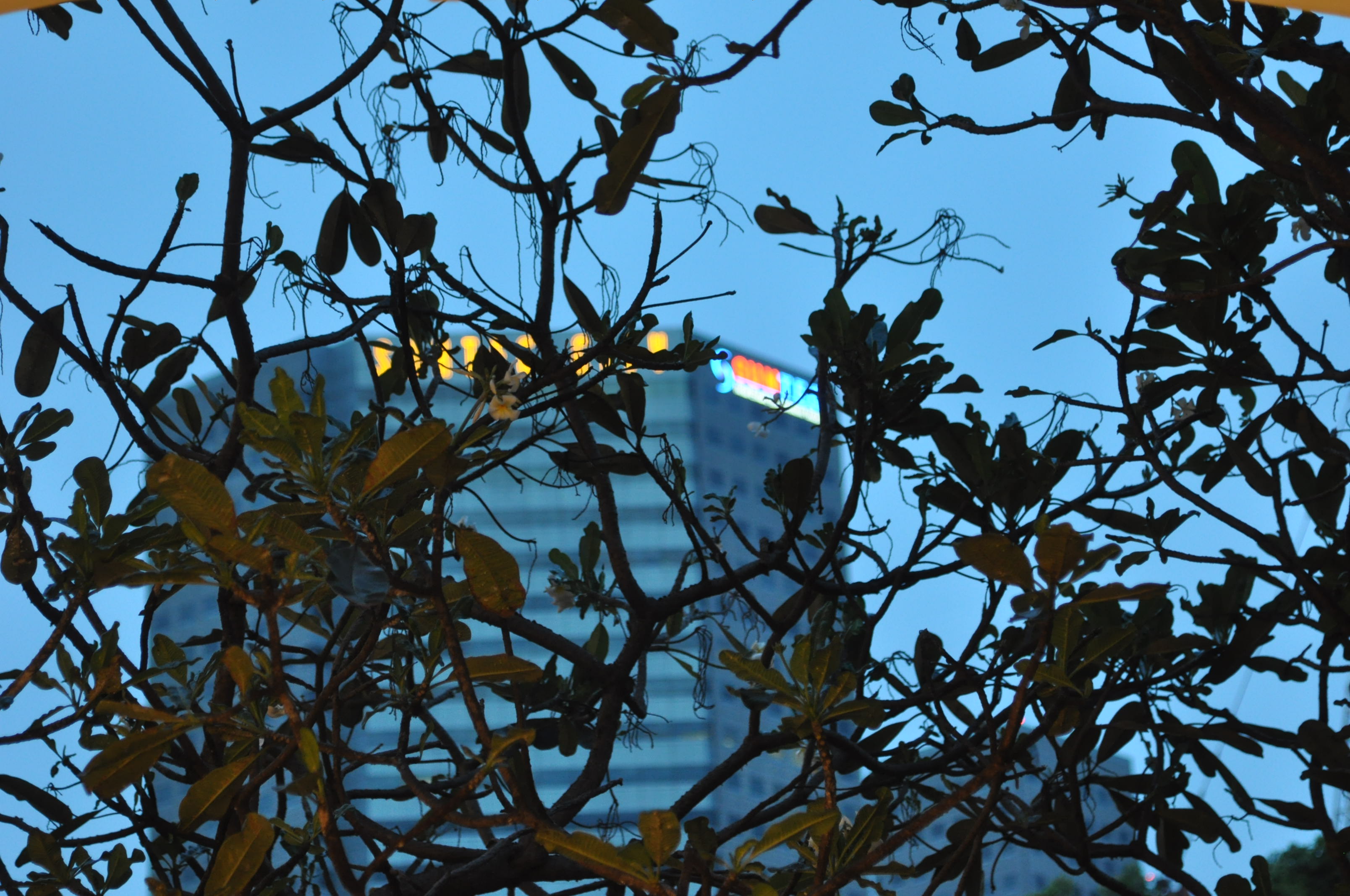 DSC_0280_2.JPG
