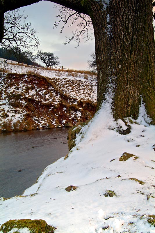 North shore of the Cantref Reservoir