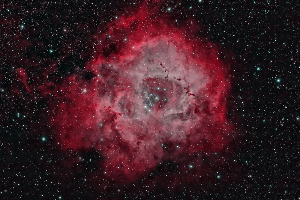 Rosette Nebula ( NGC2237-NGC2246) in Monoceros