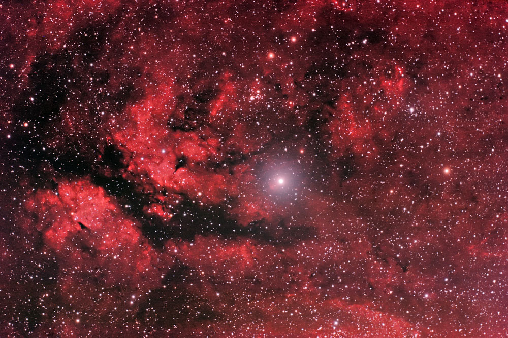 The Butterfly Nebula ( IC1318) in Cygnus