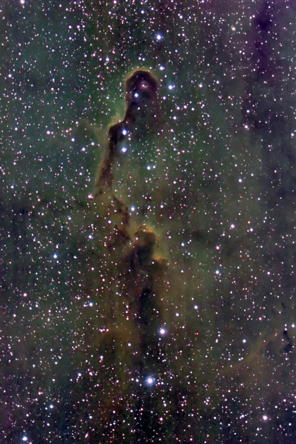 The Elephants Trunk Nebula  in Cepheus